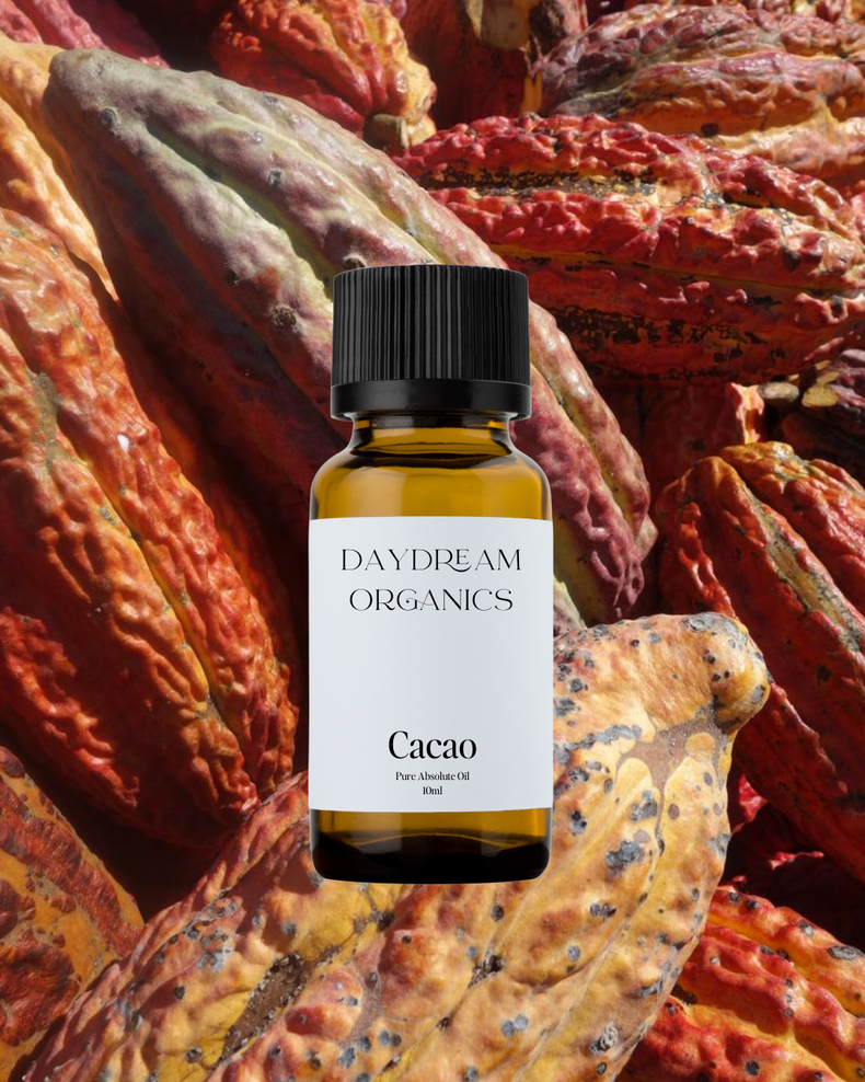 Daydream Organics | Cacao Absolute Oil