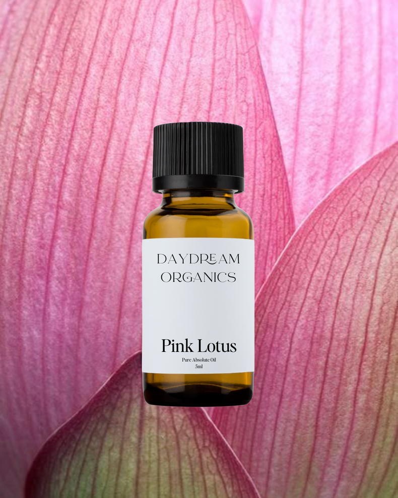 Daydream Organics | Pink Lotus Absolute Oil