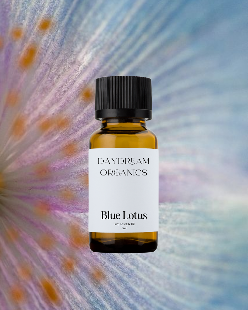 Daydream Organics | Blue Lotus Absolute Oil