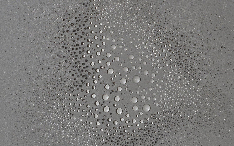 Om Organics | Mini Pink Coconut Hydrating Face Mist